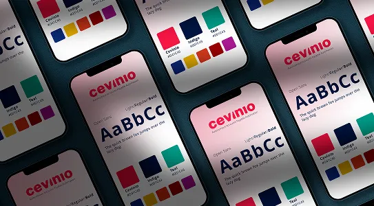 Cevinio - Branding